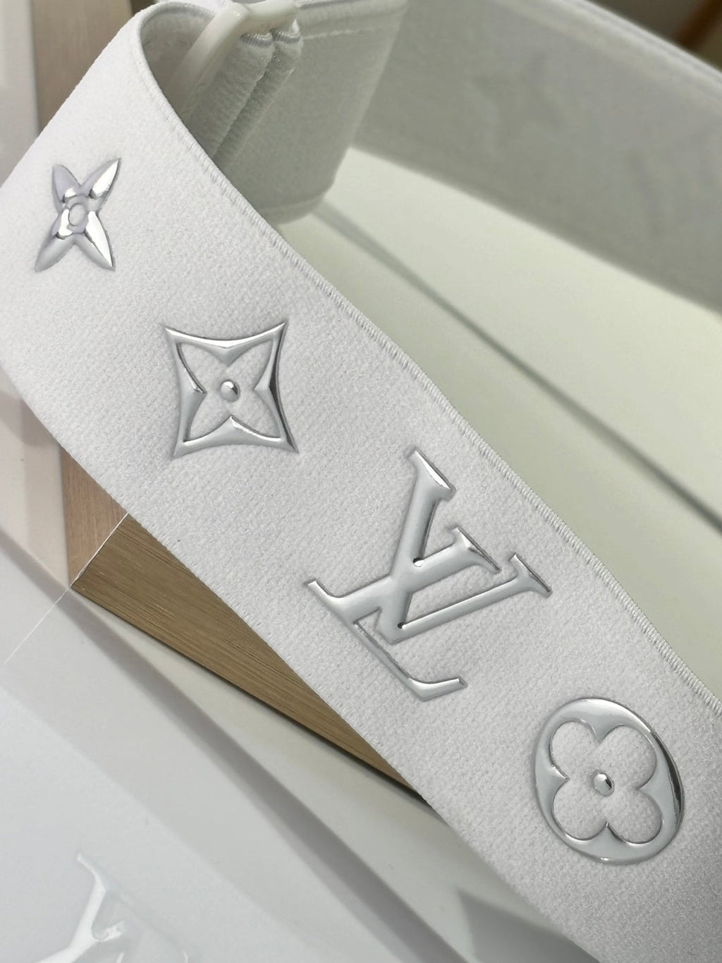 Louis Vuitton Ski Goggles